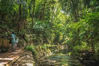 都内唯一のオアシス、等々力渓谷を散策だ！雨の場合はカフェ会になる可能性があります