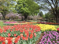 【20代・30代集合！】映えな写真を撮ってみよう🌷