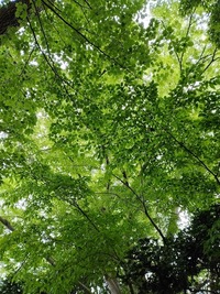 【4月23日（日）】蕃山トレッキングを楽しもう！登山イベント