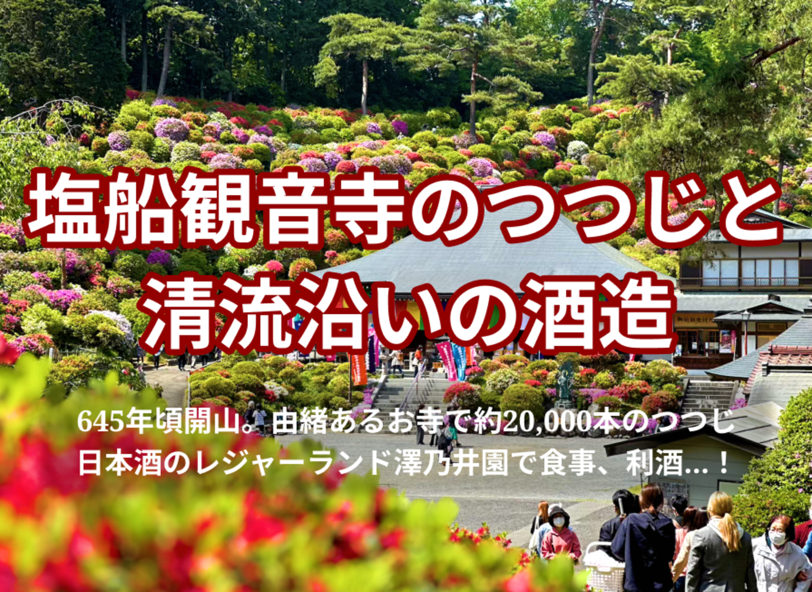 【見頃！】塩船観音寺のつつじ祭りと清流沿いの酒造で食事、利酒（ききざけ）