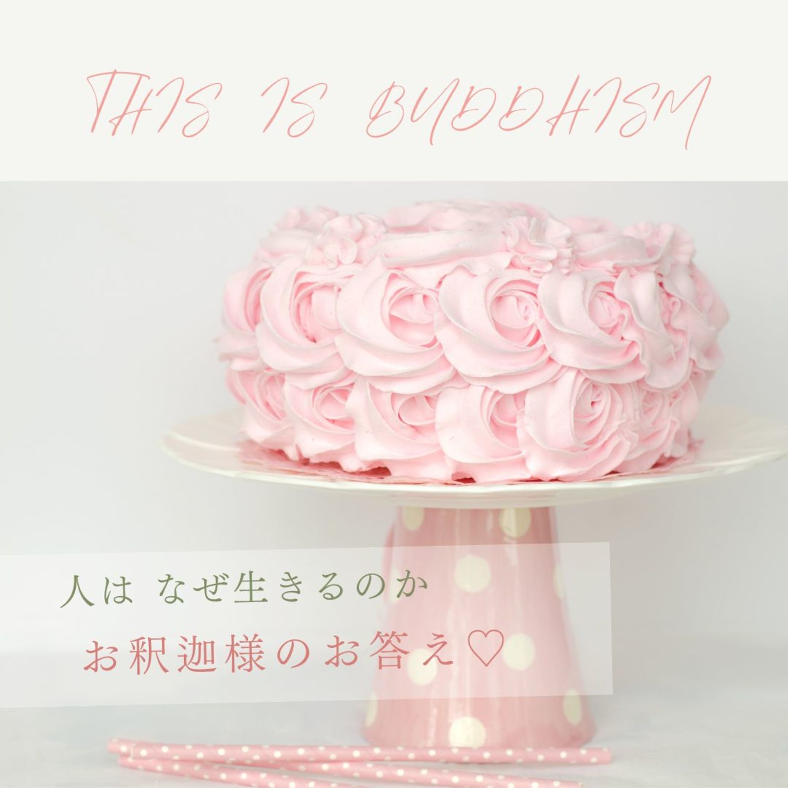 4/17【月・夜・三宮cafe交流会】カフェでまったり心が温まるお釈迦様からのメッセージ♡