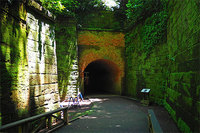 気軽に行ける無人島・猿島、探検隊🌼