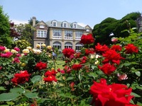 《女子会》鳩山会館でバラとステンドグラスと大正ロマンを感じる歴史散歩♪ 江戸川橋、関口エリアの歴史解説あり！（午後の部）