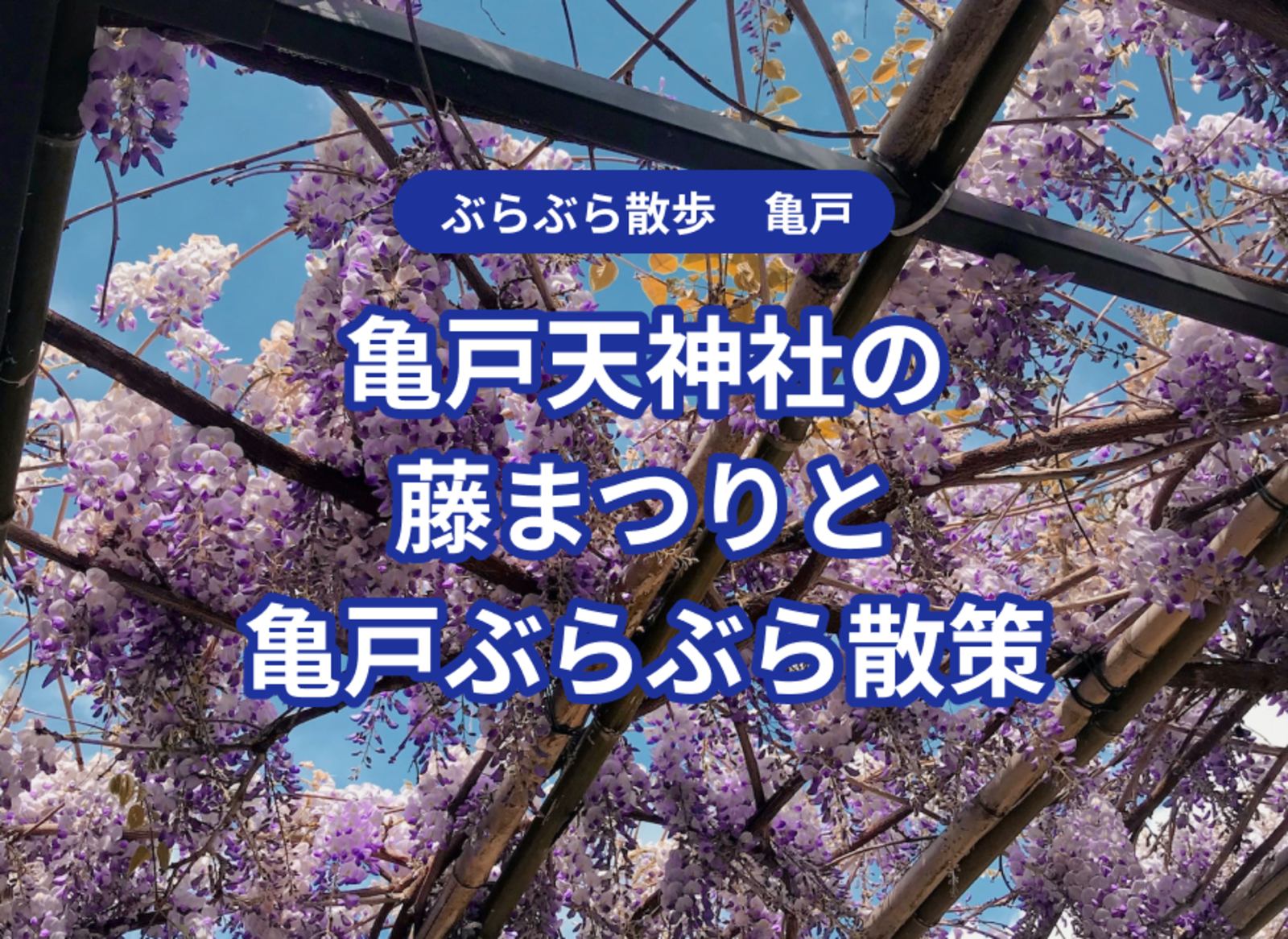 亀戸天神の藤まつりと亀戸散策（スポーツの神様「香取神社」や寛永通宝の「亀戸銭座跡」など）