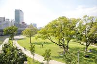 中之島公園で青空絵画教室開催します！