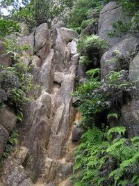 阪急芦屋川駅から荒地山までハイキングしませんか？
