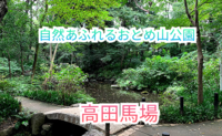 【参加費無料】東京名湧水57選で有名普段行けない場所に行ってみたい👀高田馬場にあるおとめ山公園