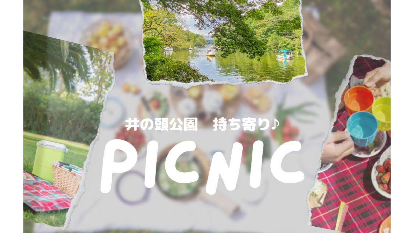 【ピクニック♪】井の頭公園でピクニック🌲（20~30代限定♪）
