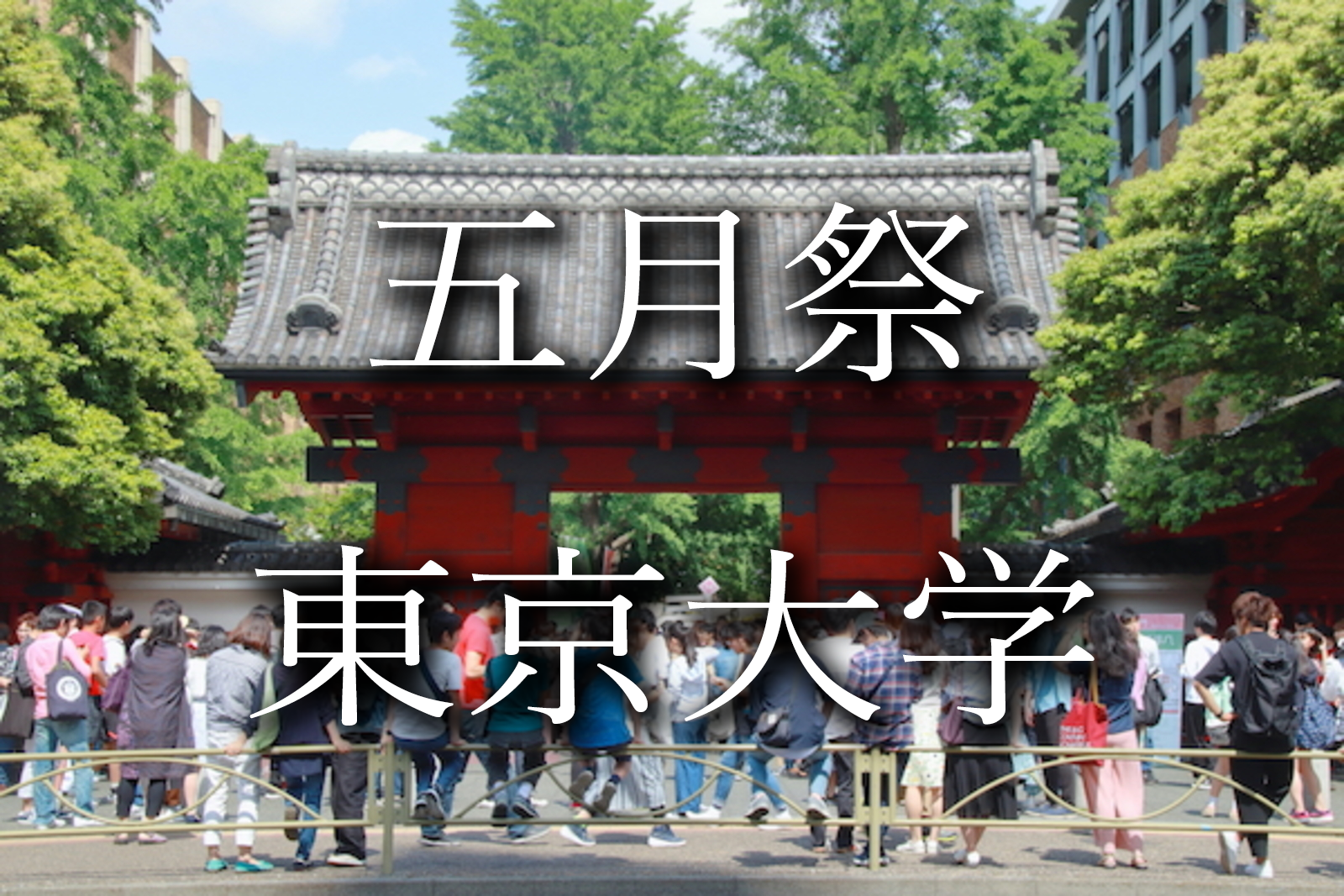 🏫【東京大学】五月祭を歩き回って堪能しよう♪【謎解き、学園祭散策】🏫