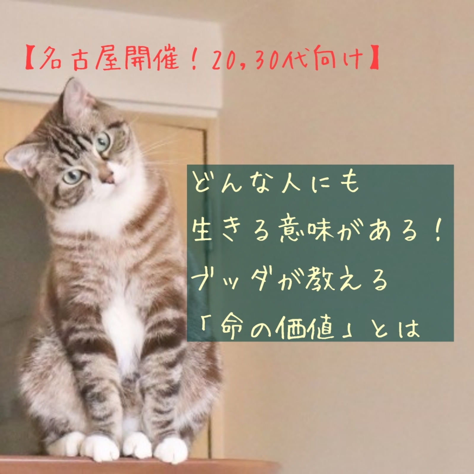 名古屋開催！20,30代向け】どんな人にも生きる意味がある！ブッダが教える「命の価値」とは