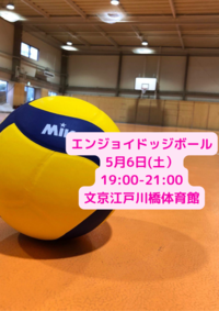 【平成生まれ限定】1人参加がほとんど♪女性に優しいエンジョイドッジボール🏐