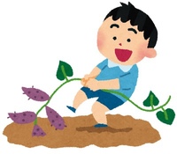 【春の農作業🌱】サツマイモ苗植えで自然と触れ合いながら楽しむ農業体験✨