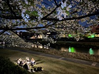夜に鴨川でピクニックしよう🌸