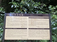 大仏切通・化粧坂切通ハイキングコース