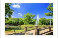 【20・30代限定】モーニング☀️代々木公園ウォーキング会