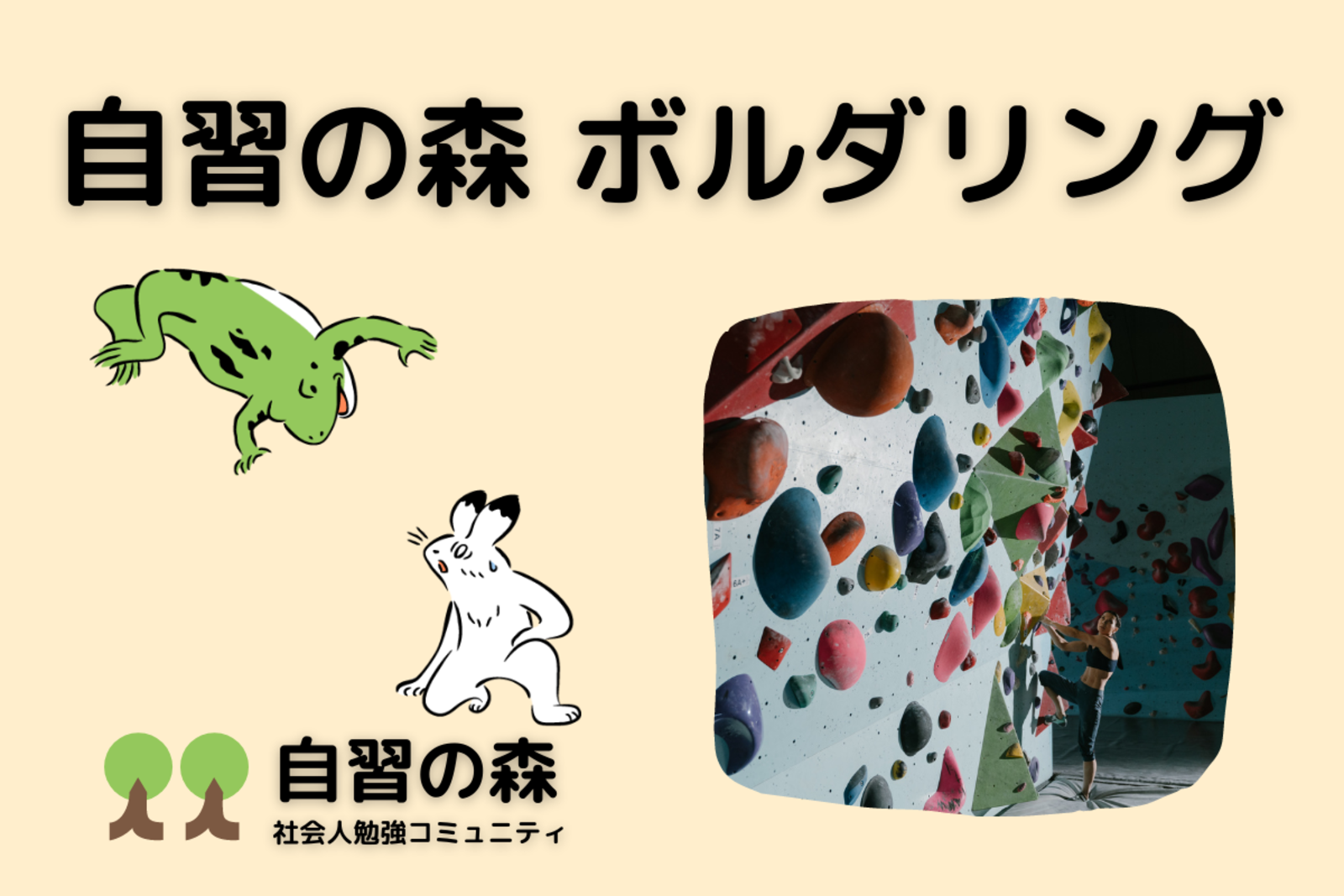 【渋谷】自習の森　ボルダリング交流会 【未経験・初心者歓迎】