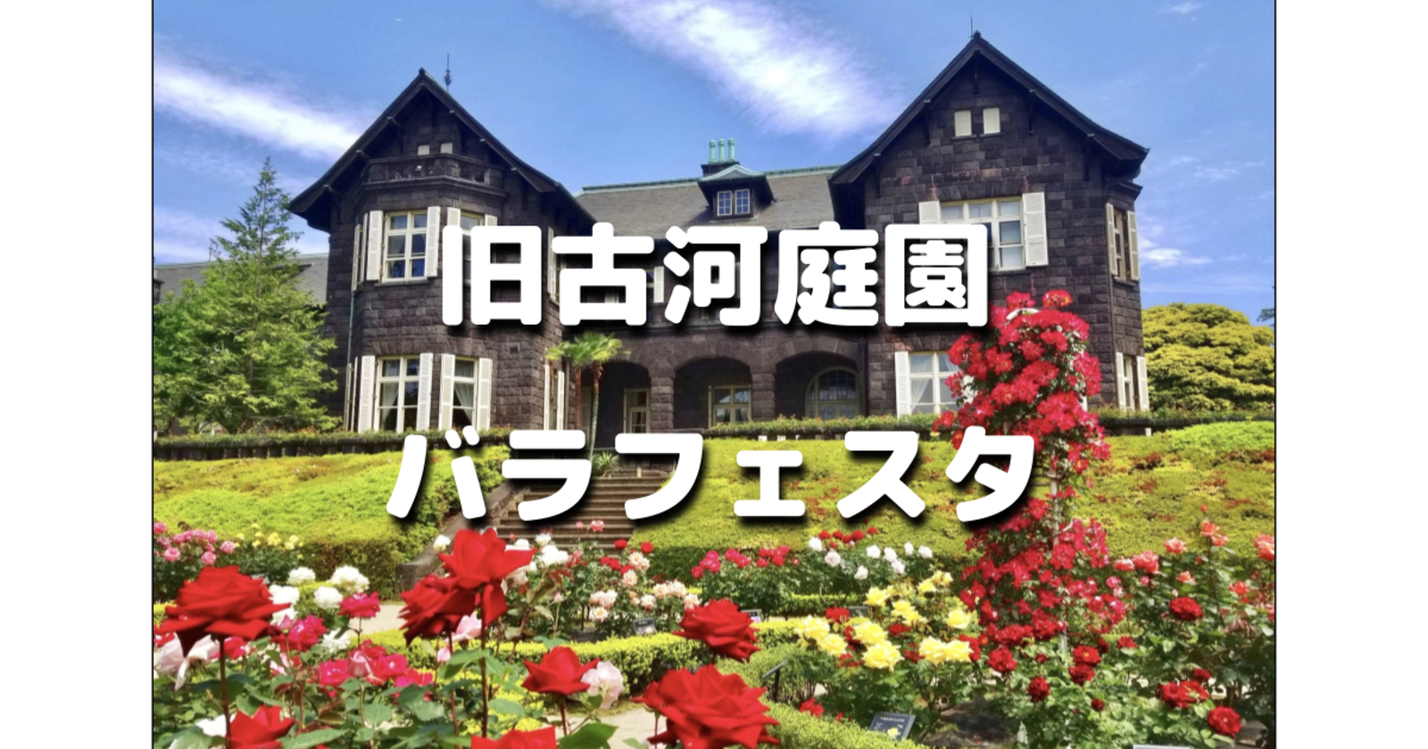 旧古河庭園最大イベント「春のバラフェスティバル」バラと洋館が織りなす美しい景観を楽しもう♪