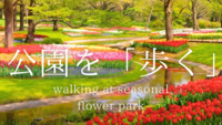 【　公園を　「歩く」　】〜Walking at showakinen park〜