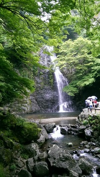 【自然の中でリフレッシュ🌿箕面の滝】爽快なハイキングで日常を忘れよう！