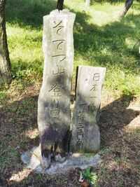 日本一の蘇鉄山＆てんしばバーベキュー
