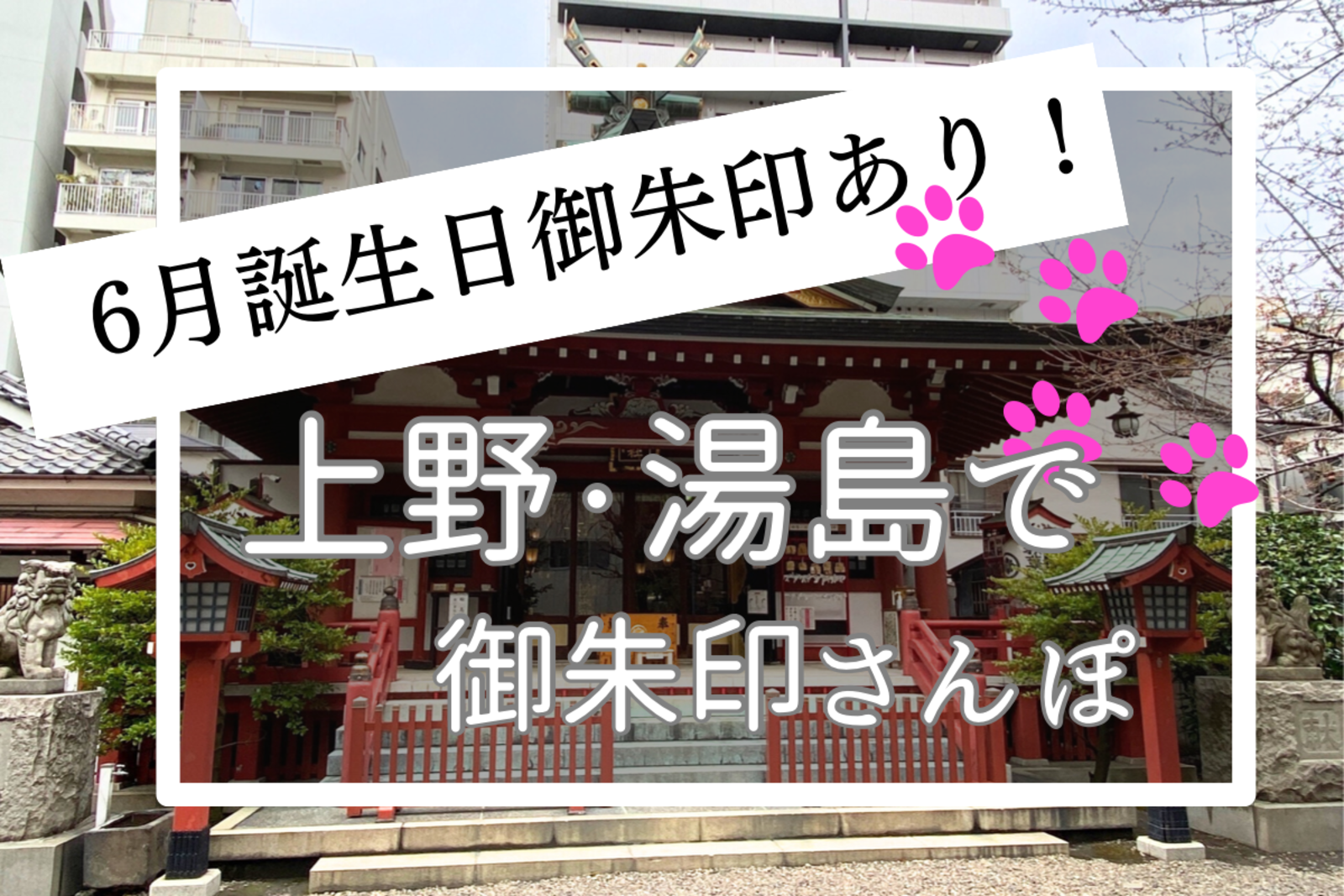 6月誕生日御朱印あり🎊上野・湯島で御朱印さんぽ※お誕生日限定御朱印、月替わり限定御朱印※
