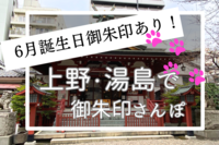 6月誕生日御朱印あり🎊上野・湯島で御朱印さんぽ※お誕生日限定御朱印、月替わり限定御朱印※