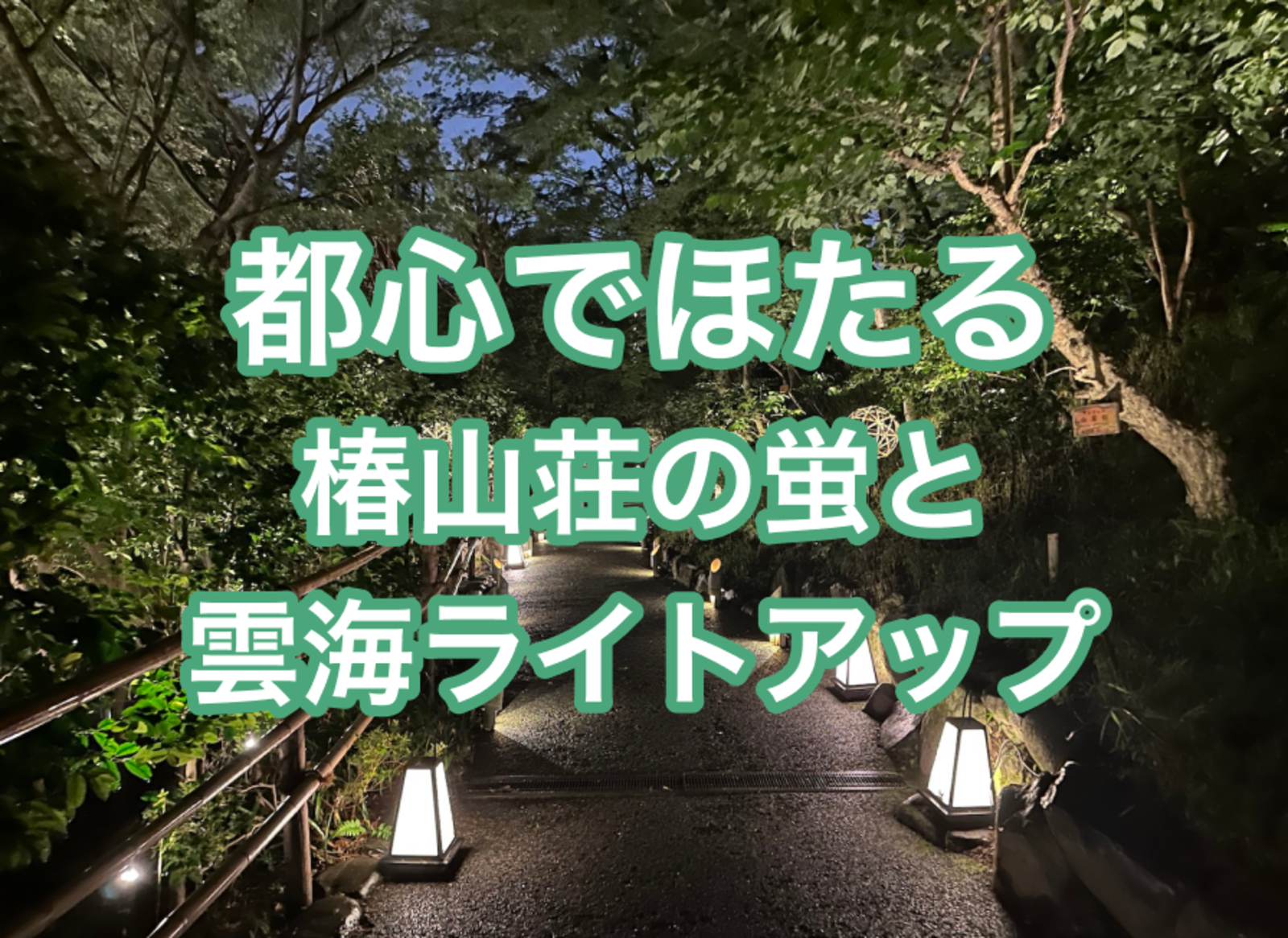 【都心でほたる】椿山荘の蛍と雲海ライトアップ