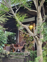 古民家カフェでまったり時間を過ごそう☕𓈒𓏸︎︎︎︎