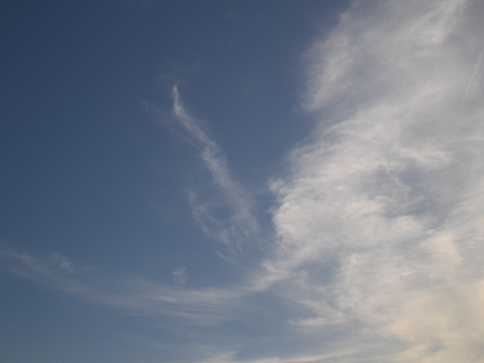 東京ディズニーリゾート好き集まれ～、Zoom飲み会♪
