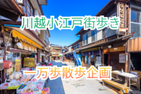 【男性満員の為】女性のみ募集中参加費無料　新宿駅から出発【川越「小江戸」街歩き】