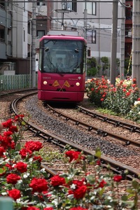 【20代前半主催】都電途中下車の旅　沿線の魅力を発見しよう！