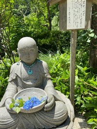 一粒万倍日大明日吉日　紫陽花シーズン食べ歩きお散歩オフ会 ！神社巡り縁結スポット