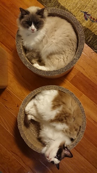 2023.6月  練習会(桑名市)