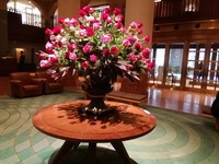 ６月16日（金）は女子会しませんかin大阪梅田阪急インターナショナルホテル