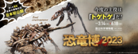 【終了間際！】特別展 恐竜博2023に行ってみよう！🐲