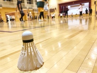 6/7(水)19:00〜21:00 未経験者、初心者のためのバドミントンサークル