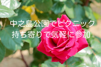 中之島公園バラ園近くでピクニック🌹持ち寄りで参加