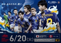 日本代表サッカー観戦交流会♬日本×ペルー！サムライブルーを応援しよう！