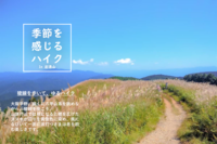 頂上に広がるススキの景色を見にいこう！季節を感じるハイク in 岩湧山