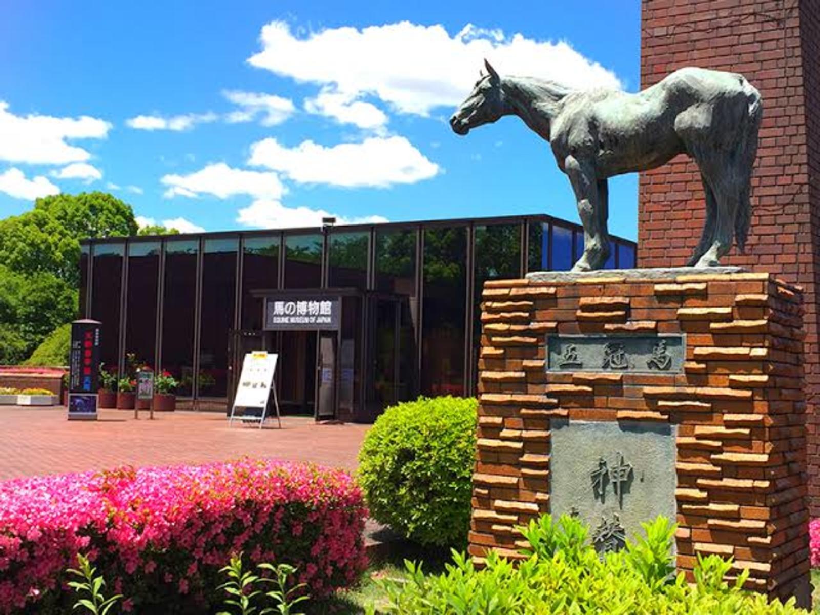 【根岸🐴馬の博物館】歴史ある建物で馬と触れ合う特別な体験🐎✨