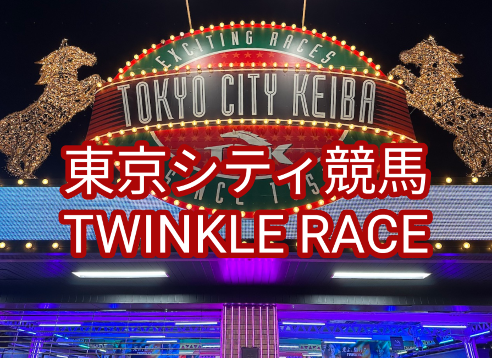 東京シティ競馬トゥインクルレース　ナイト競馬を体験しよう！