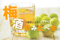 【梅酒会🍸】 梅酒を飲み比べしよう！