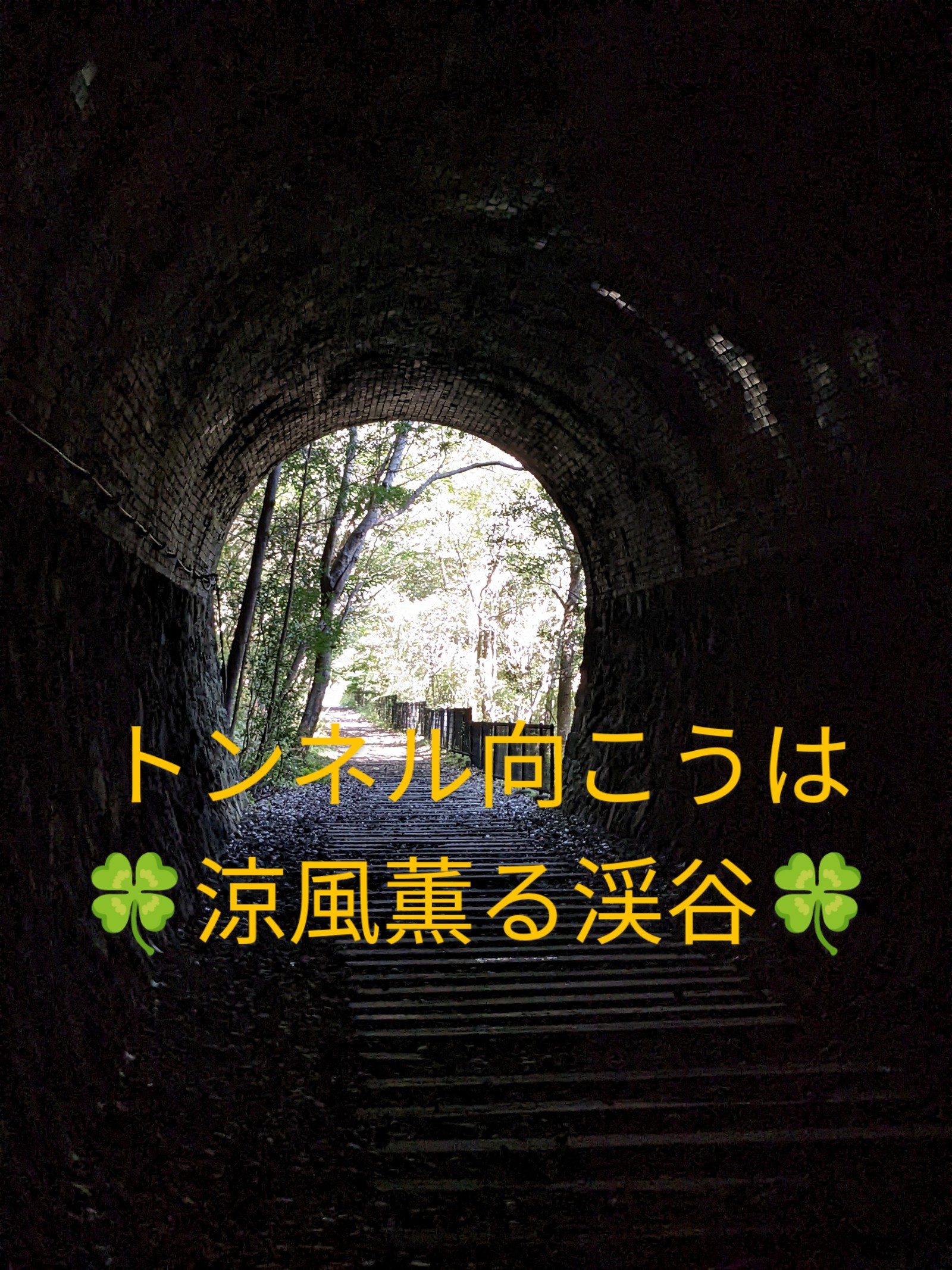 🍀福知山線廃線跡、ゆるゆるウォーキングで歴史を感じる旅✨