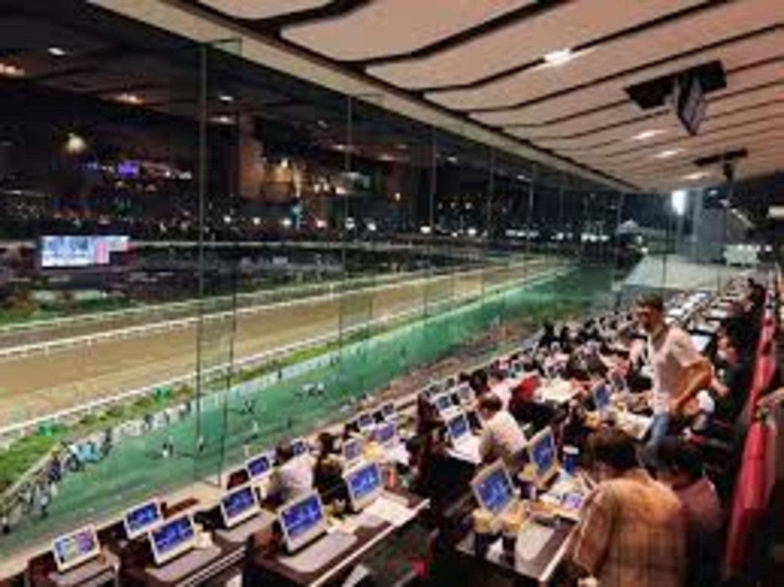 馬好き競馬好き集まれ―☆大井競馬場ツアー