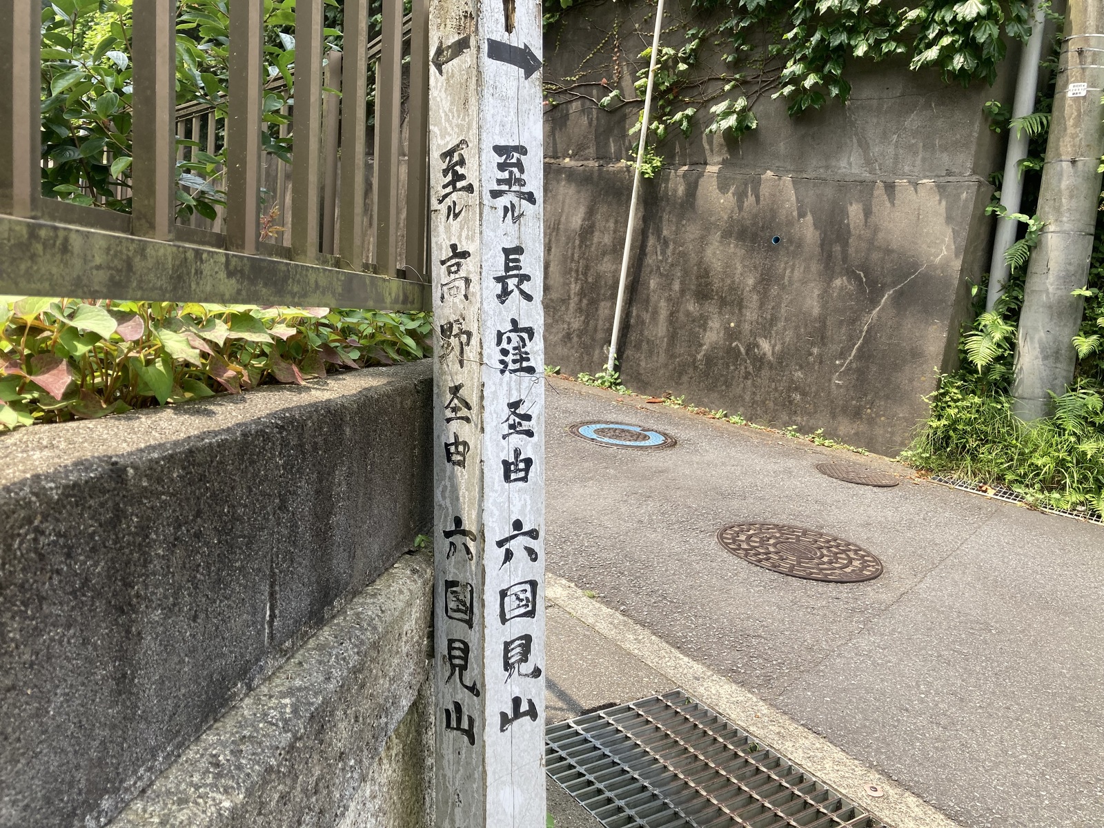 北鎌倉駅集合。長窪、高野散歩コース