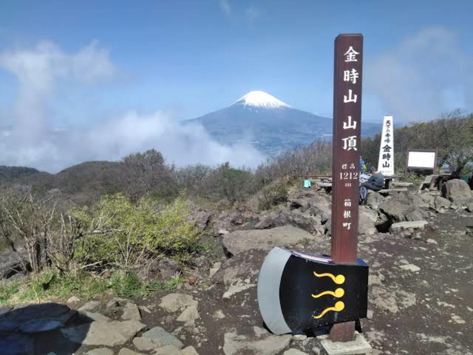 【登山初心者向け】箱根・金時山山頂からの絶景の眺めを楽しむハイキングイベント🏞️