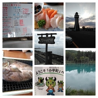 8月12～16日前夜発北海道小樽稚内旅行