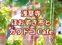浅草寺ほおずき市と隅田川を望むカワドコCafe 2日間限定の御朱印も