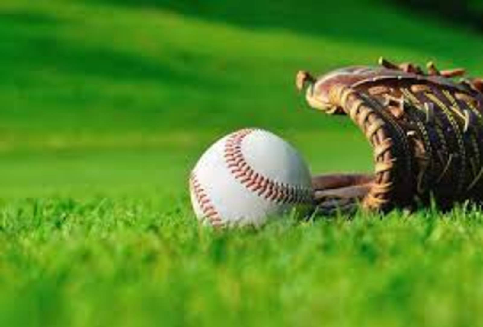 野球好き集まれ！！野球が好きな人観戦が好きな人も♬応援チームが違っていてもこの日はみんなで仲良く★