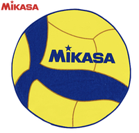 混合バレー  梅島駅エルソフィア（公民館）